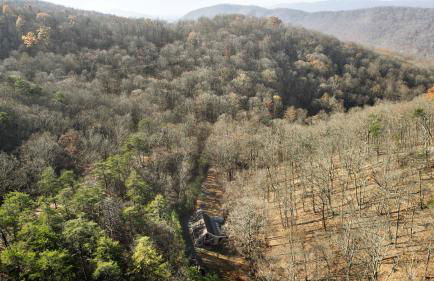 River Access Loft Deck WiFI & Pet Friendly - Foto 48