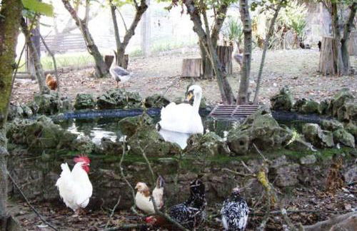 Apartamentos Rurales Rincón de Aiara - Foto 42