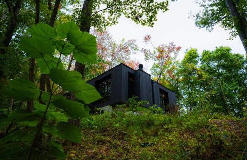 Idyll Reserve - Hocking Hills - Foto 58