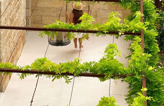 I Tre Bacili - Foto 70