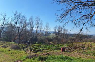 Quinta da Portela - Foto 17