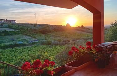 Poggio agli Ulivi vicolo di Colle Reti 22 Frascati - Foto 1