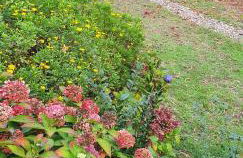 VIVER D'AMOR Oporto Douro River Flat - Foto 35