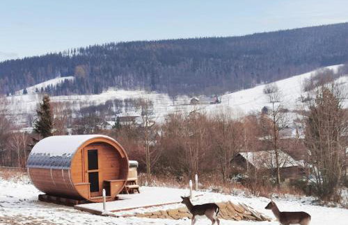 Hotel i Apartamenty pod Śnieżnikiem - Foto 33