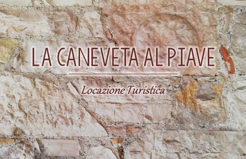 La Caneveta al Piave - Foto 33