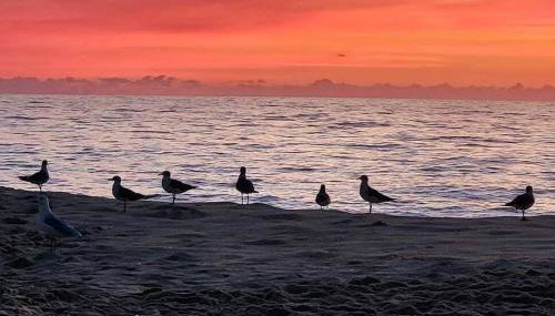 Jada buildingNewly remodeled, Pool - Foto 5