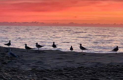 Jada buildingNewly remodeled, Pool - Foto 5