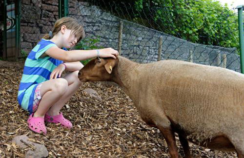 Nengshof Ferienwohnungen Mohnblume und Kornblume - Foto 11