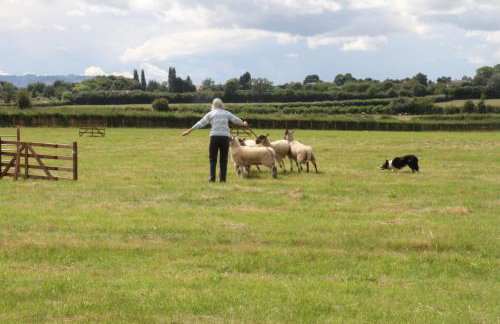 Church Farm - Foto 19