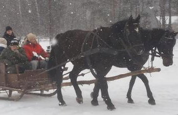 tuŻur domki nad potokiem - Foto 59