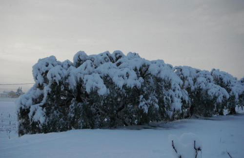Le Temps d'un Rêve - Foto 78