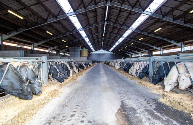 Family Farmhouse, Ploegsteert - Foto 23