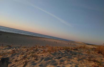 LE COURANT D'HUCHET - Foto 18