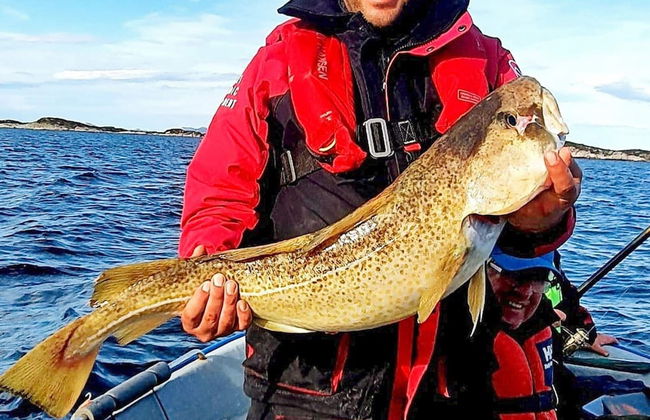 6 Person Holiday Home in Byrknesoy-by Traum - Foto 13