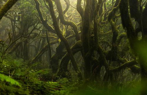 Apartamento La Playa - Foto 36