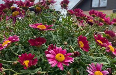 Ferienwohnung Hohes Venn - Foto 31