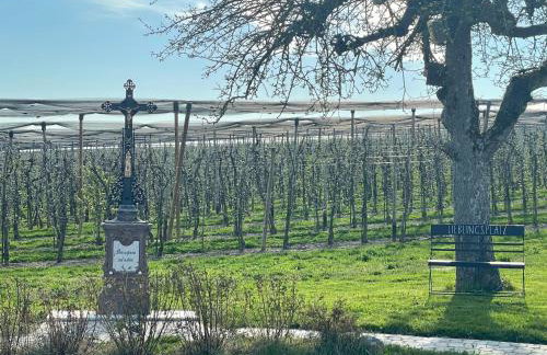 Bergchalet Mirabell - Hofgut - Foto 53