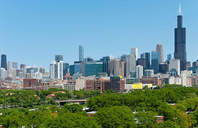Big Bus Chicago - Tour en autobús turístico - Foto 2