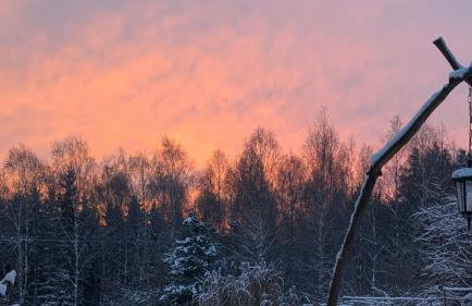 Forreset - leśny reset - Foto 75