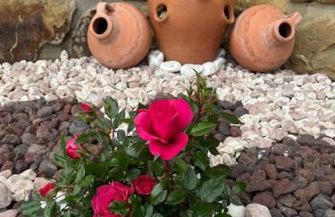 Hotel-Apartamento Rural Atxurra - Foto 40