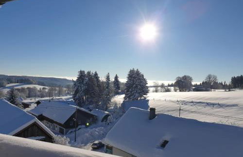 Landhaus Black Forest - Foto 11