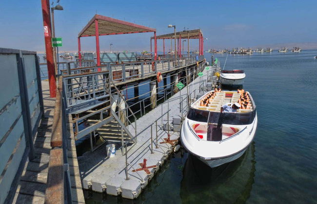 Îles Ballestas + Réserve Nationale de Paracas - Photo 1