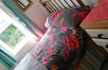 Windy Hill - Three Cliffs Bay, Gower - Foto 14