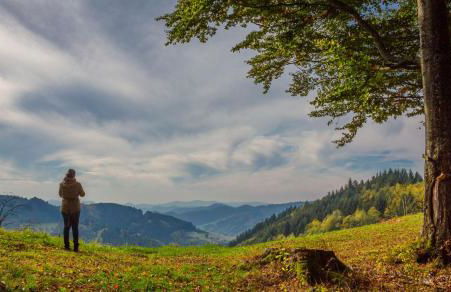 Ferienwohnungen Golla-lang - Foto 12
