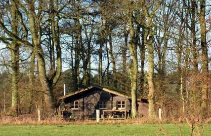 Blockhütte 35 km nördlich von Hamburg - Foto 19