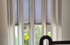 La Magnolia - Foto 10