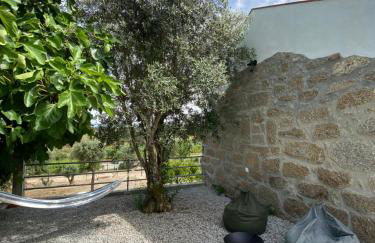 Casa de Pedra em Vinha no Dão - Foto 7