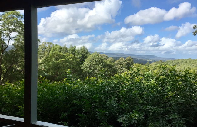 Bluegums Cabins Barrington Tops - Photo 79