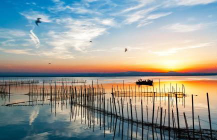 Albufera Dreams Nature Suites - Foto 104