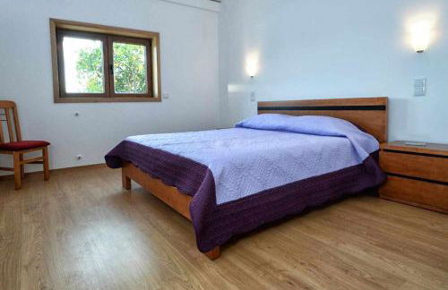 Casa da Caneleira Camélias de Basto - Foto 28