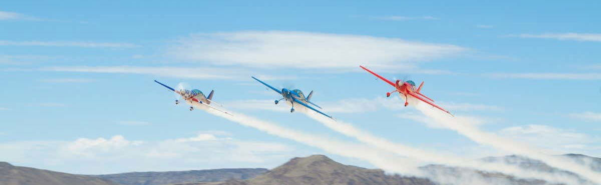 Aerobatic Flight Experience - Foto 1