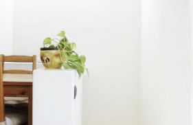 La tua Kimera - Foto 17