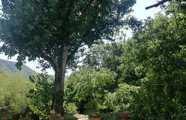 Agriturismo Sant'Erasmo - Foto 32