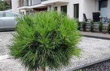 Apartament Powstańców A23 z dostępem do basenu BALTIC APARTAMENT - Foto 30