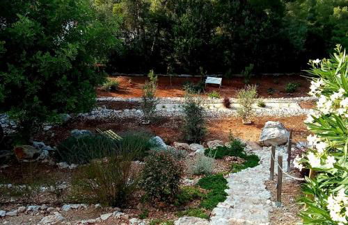 Guest House El Angelito de Olivas - Foto 12