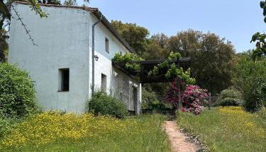 La Casita de Platero - Foto 2