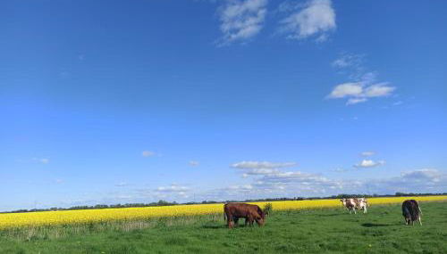Landblick - idyllische Wohnung an der Nordsee - Foto 3