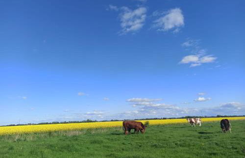 Landblick - idyllische Wohnung an der Nordsee - Foto 3