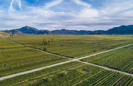 Villa Granny Nevenka near MAKARSKA - Foto 15