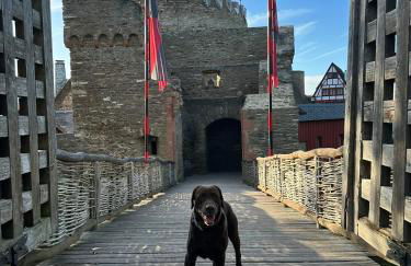 Ferienhaus Löwenherz - Foto 68