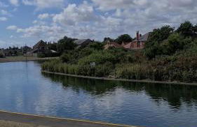 Resthaven Cottage - Foto 19