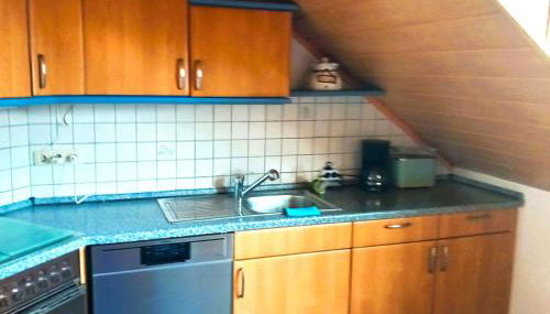Haus an der Ascha - Foto 4, dishwasher