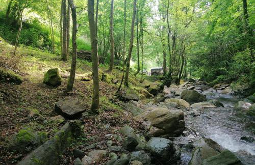 Els Pins d'Abella - Foto 30