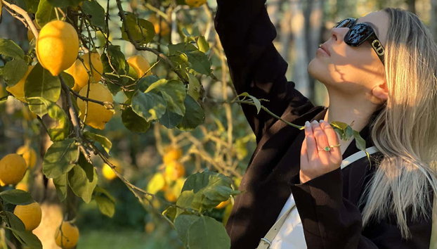 Sorrento Limoncello Tour - Photo 4, Collecting lemons from the trees