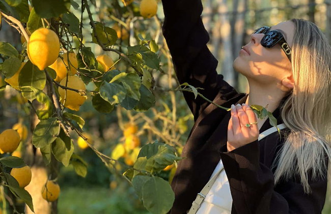 Tour del limón - Foto 4