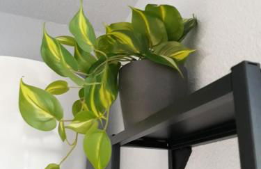 Studio cabine en bord de plage - Foto 7